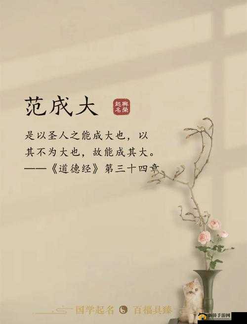 一本稻和啦啦啦什么情况：探寻背后的故事与深意