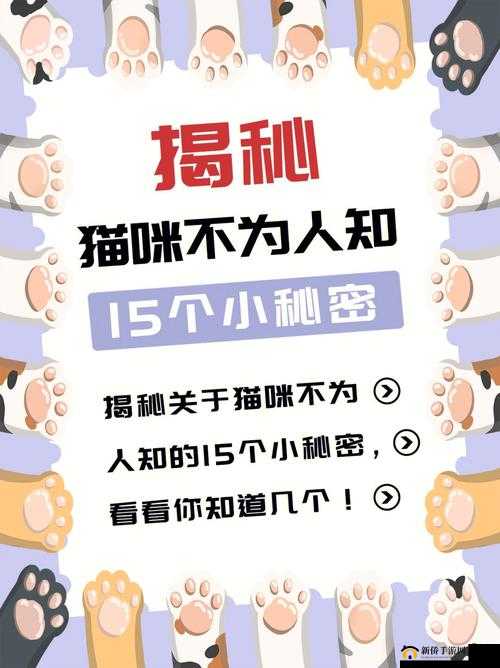 17CC 网黑料爆料大揭秘：深入揭露背后的秘密