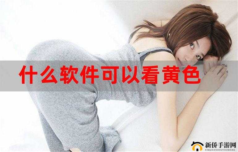 黄色软件免费看无需付费畅享精彩资源