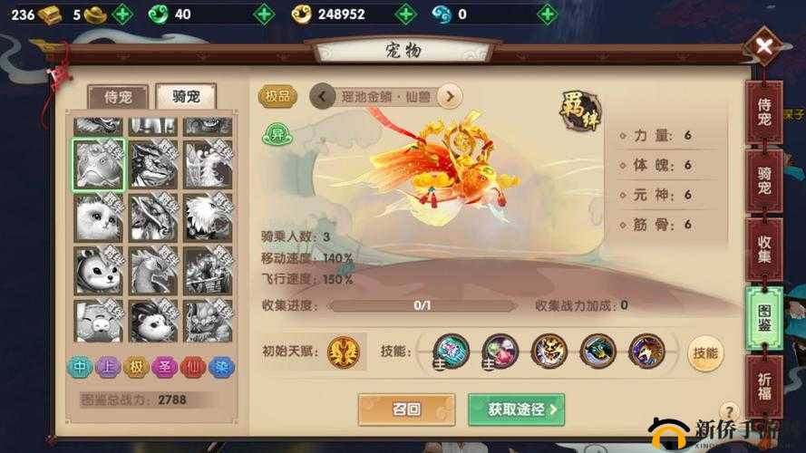 寻仙手游全面解析，宠物战力提升的高效技巧与策略