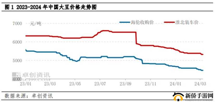 迷踪林大豆行情网官网：专业大豆行情资讯平台
