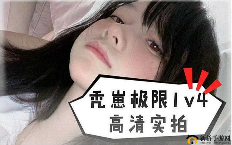 秃崽战斗视频在哪里看：全网最全搜索指南