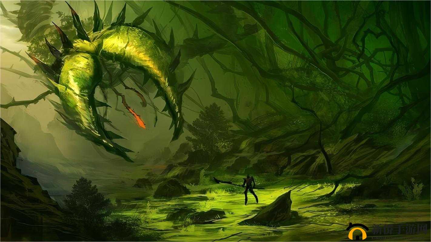 tai9 换哪去了：带你探寻神秘消失的背后故事