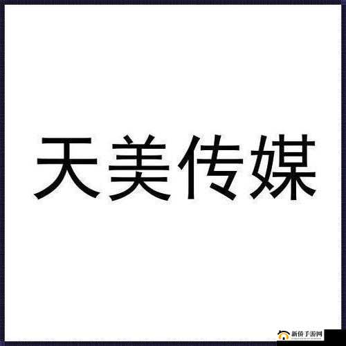 天美传媒有限公司宣传片：展现创新与卓越的精彩篇章