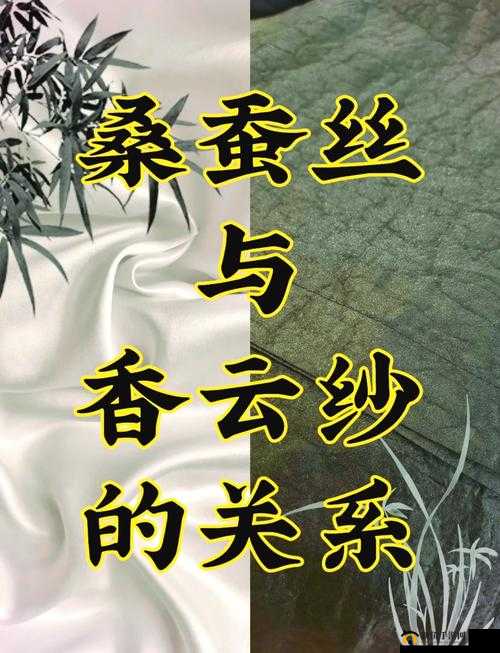 中国槡 BB：BB 槡 BB，一个充满神秘与诱惑的名字