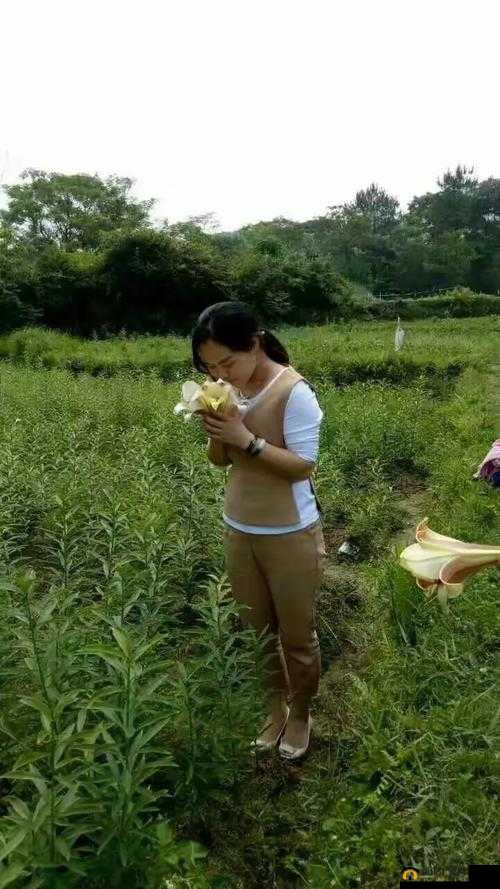 校园百合：娇娇校花与冷艳学霸的秘密喘息