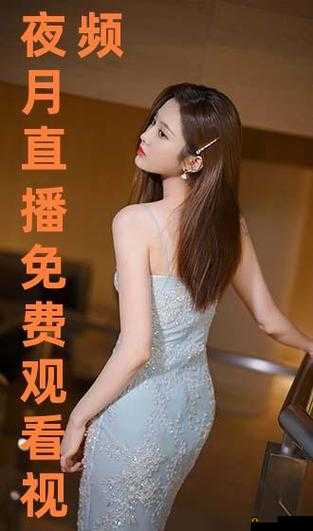 [夜月直播视频]成人之美：探索夜月直播视频的魅力
