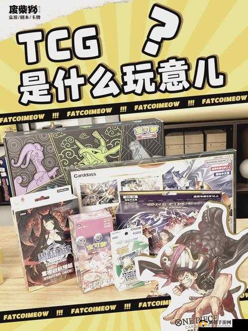 秘境对决，深入剖析五色轮系统，探索卡牌阵营独特魅力与策略