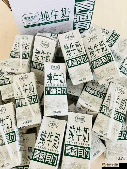 久久国产一品：经典国货的品质之选