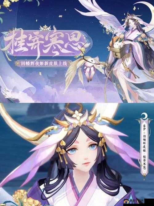 探索阴阳师盛夏幽庭庭院皮肤的独特魅力及其详细获取方式