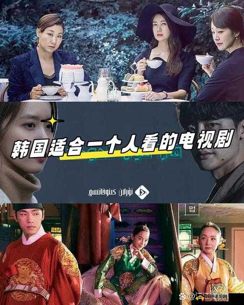 三部顶级韩剧电视剧免费看，精彩不容错过