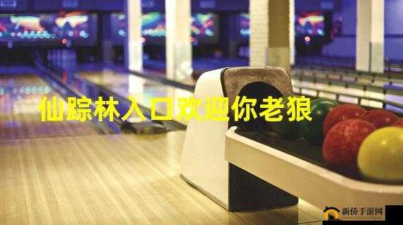 仙踪林老狼 corporation：打造自然与人文完美融合的餐饮连锁品牌