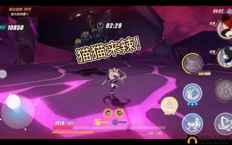 崩坏3矩阵空间噩梦EX薛定谔的猫全面攻略，掌握资源管理艺术，轻松通关