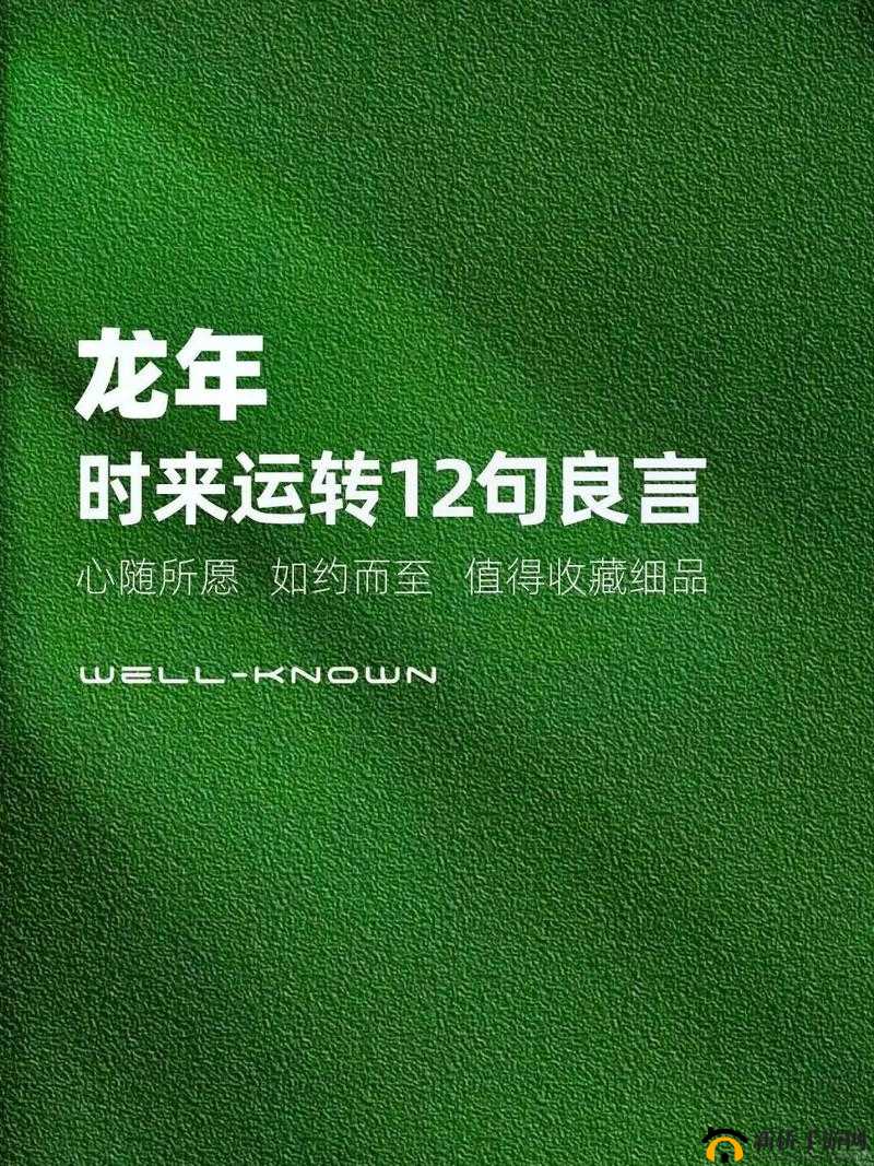 打开你会回来感谢我的 2024：带你走向惊喜与美好未来之旅
