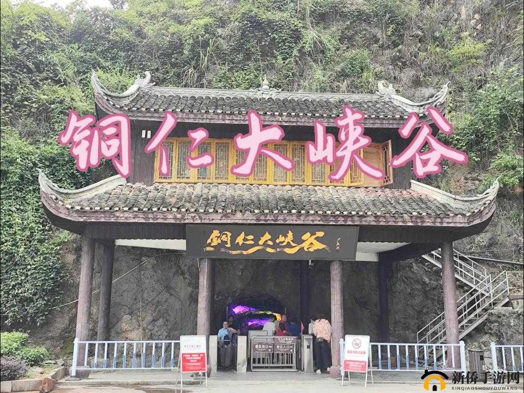铜铜铜铜仁又大又深板免费，这里的风景独一无二