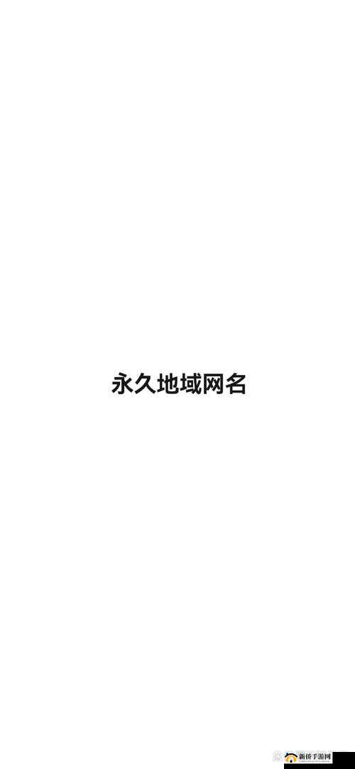 9uu 永久地域网名如何使用：快速上手指南