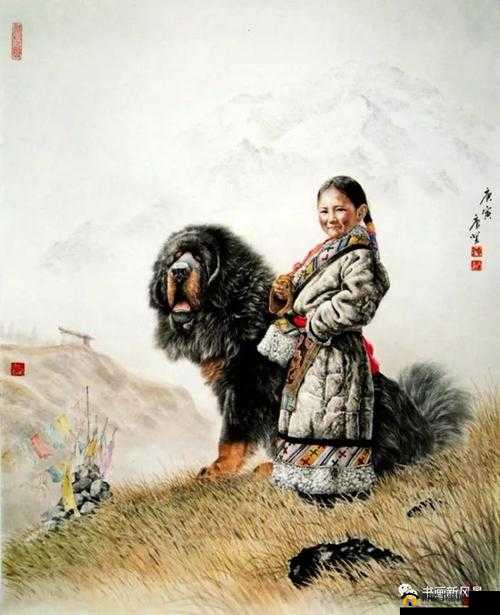 女人与藏獒交酡全过程之震撼揭秘
