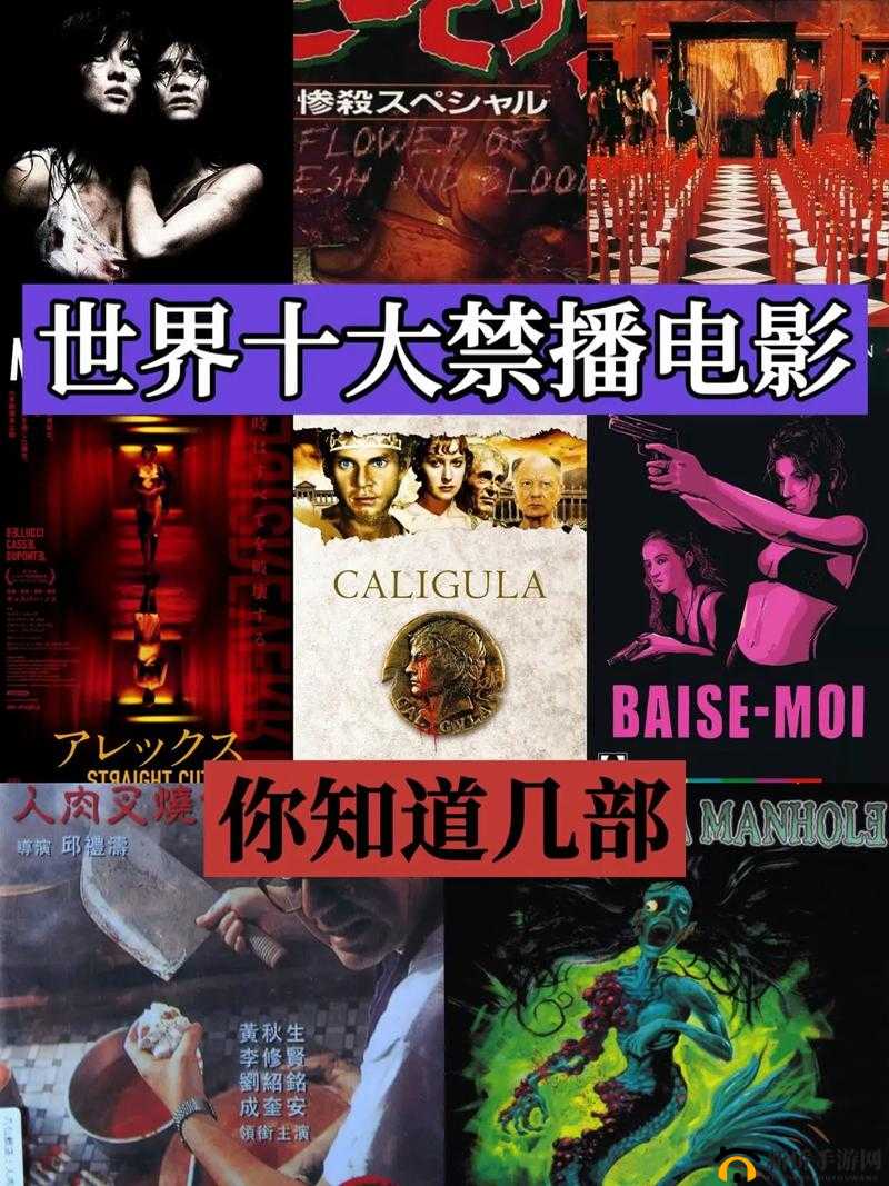 欧美精品一区二区：优质影片的集聚地