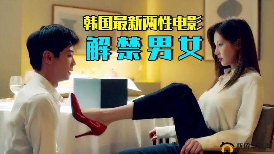 18 部成人视频资源分享：满足你的独特需求