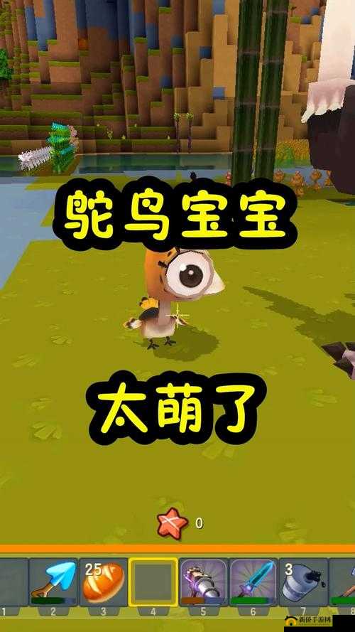 迷你世界游戏攻略，详细步骤教你如何成功驯服并饲养鸵鸟