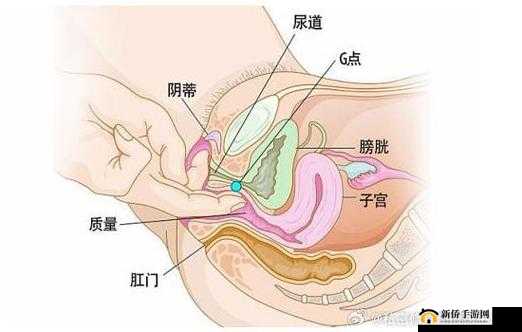 火车上荫蒂添令人舒适的奇妙剧情演绎