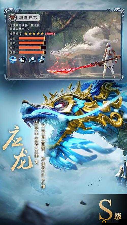 九剑魔龙传试剑大会，详细活动规则介绍及参与指南