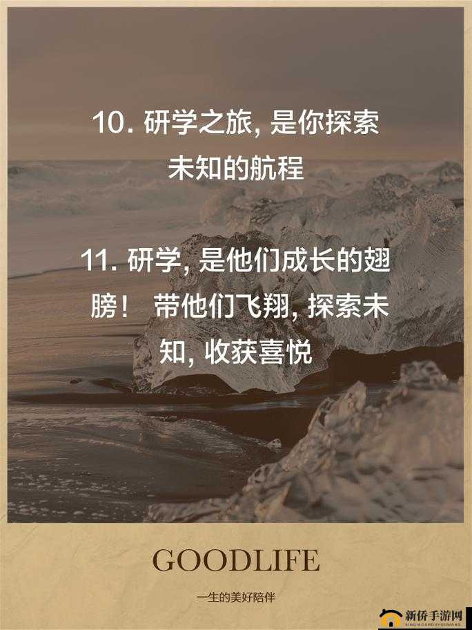 HDWwwXXx69 ：开启全新精彩的未知之旅