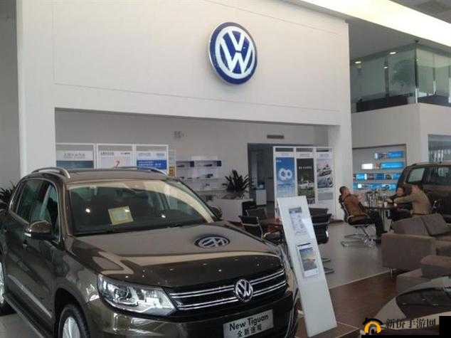 4S 店惊现大众 4 色车 你见过吗