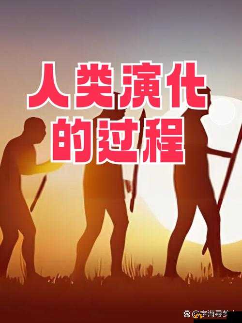 JY 改造系统人越变越美古代：探究古代美之奇妙进化历程