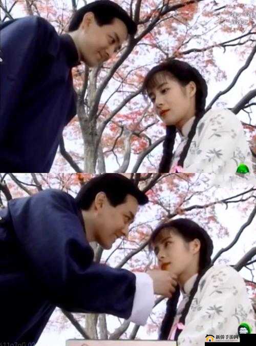 男女之间的梅花三弄：情海波澜中的爱与纠葛之章