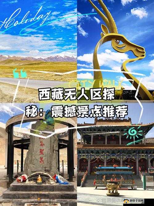 无人区编码 6229Jm 观天下事震撼升级评价：全新视角解读别样精彩