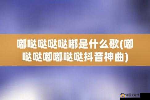白天摸摸哒晚上摸摸哒是什么歌：探寻其背后的音乐故事与魅力