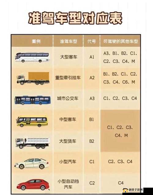 国产 A1a2a317c：探索其独特性能与应用前景的深度剖析