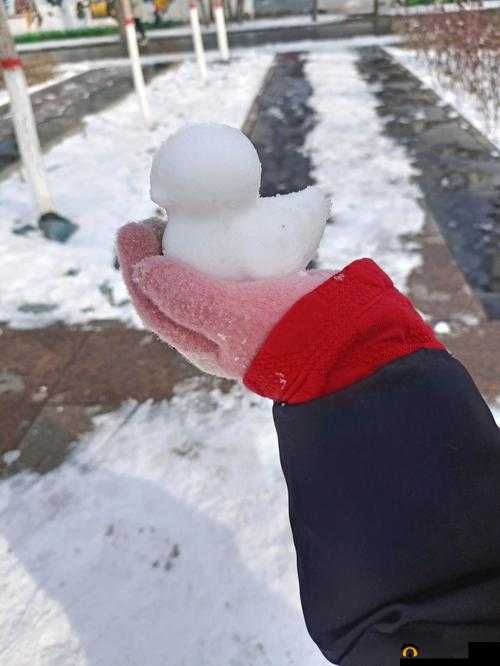 两团雪球在他手中的奇妙变化