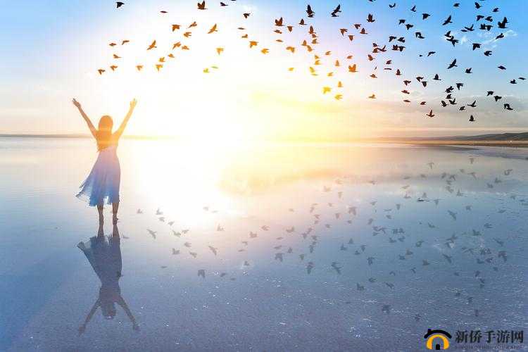 少女的免费高清：打开梦想的大门，带你走进纯真的世界
