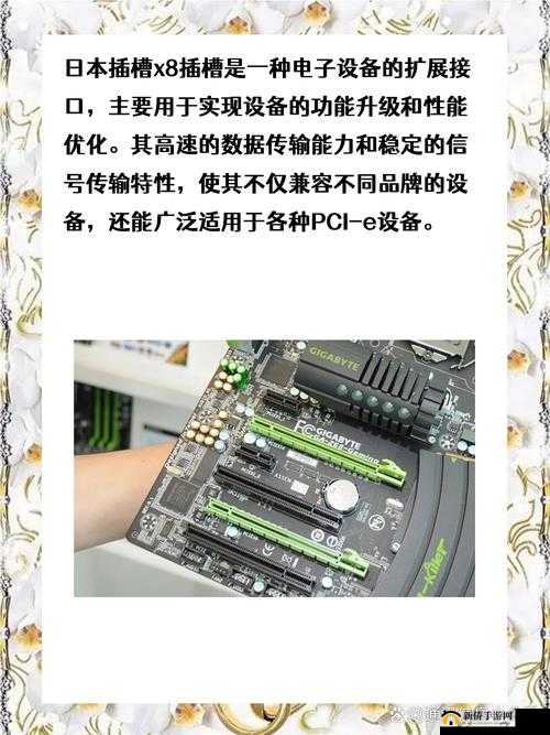 如何选择适合 X8 插槽的硬件：提升性能的关键