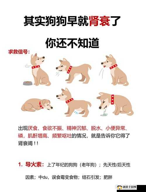人狗胶配方大全狗狗：关于狗狗的各类详细配方介绍