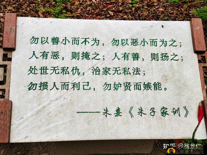 探索积极健康话题，促进个人成长与发展，获取有益信息与知识