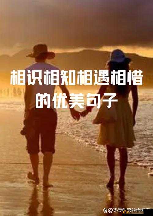 男女之间的梅花三弄：情韵交织中的心灵交融之旅
