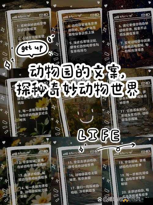 美国 ZOOM 动物园探秘：深入探寻奇妙动物世界