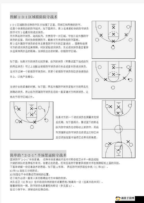 美职篮梦之队3深度解析，球队战术系统玩法技巧与策略全攻略