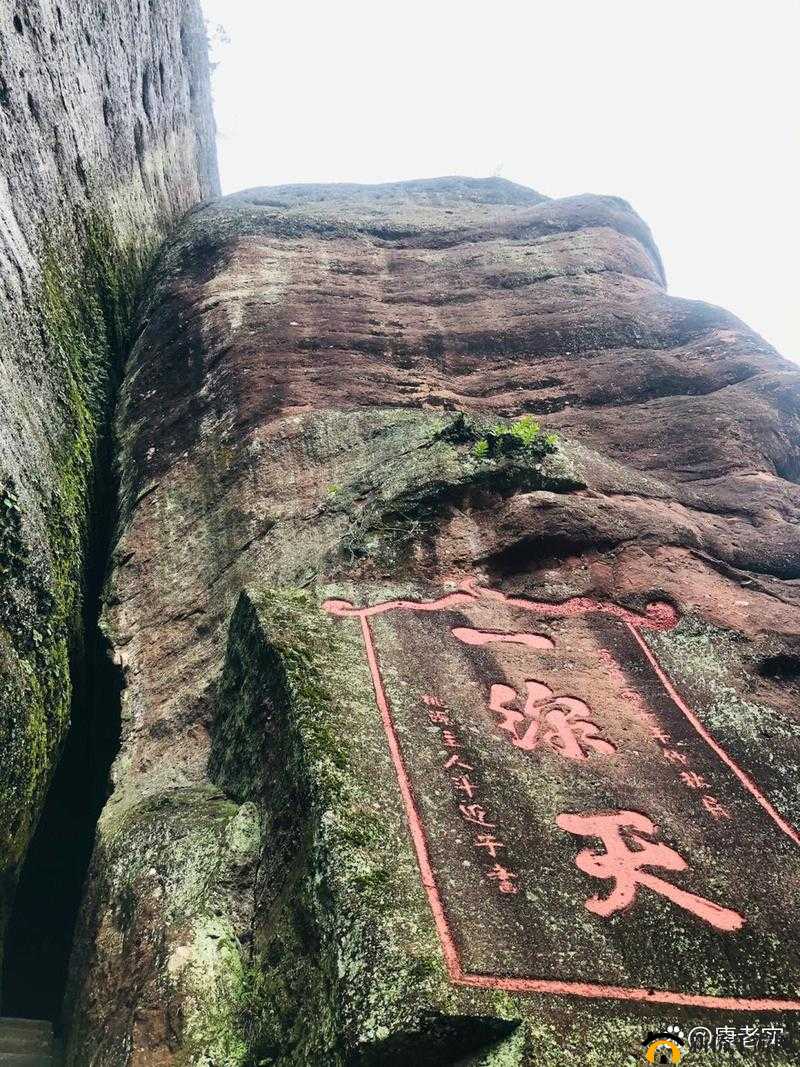 一处桃源千人品，两片红唇万客来：探秘桃源秘境的神奇魅力