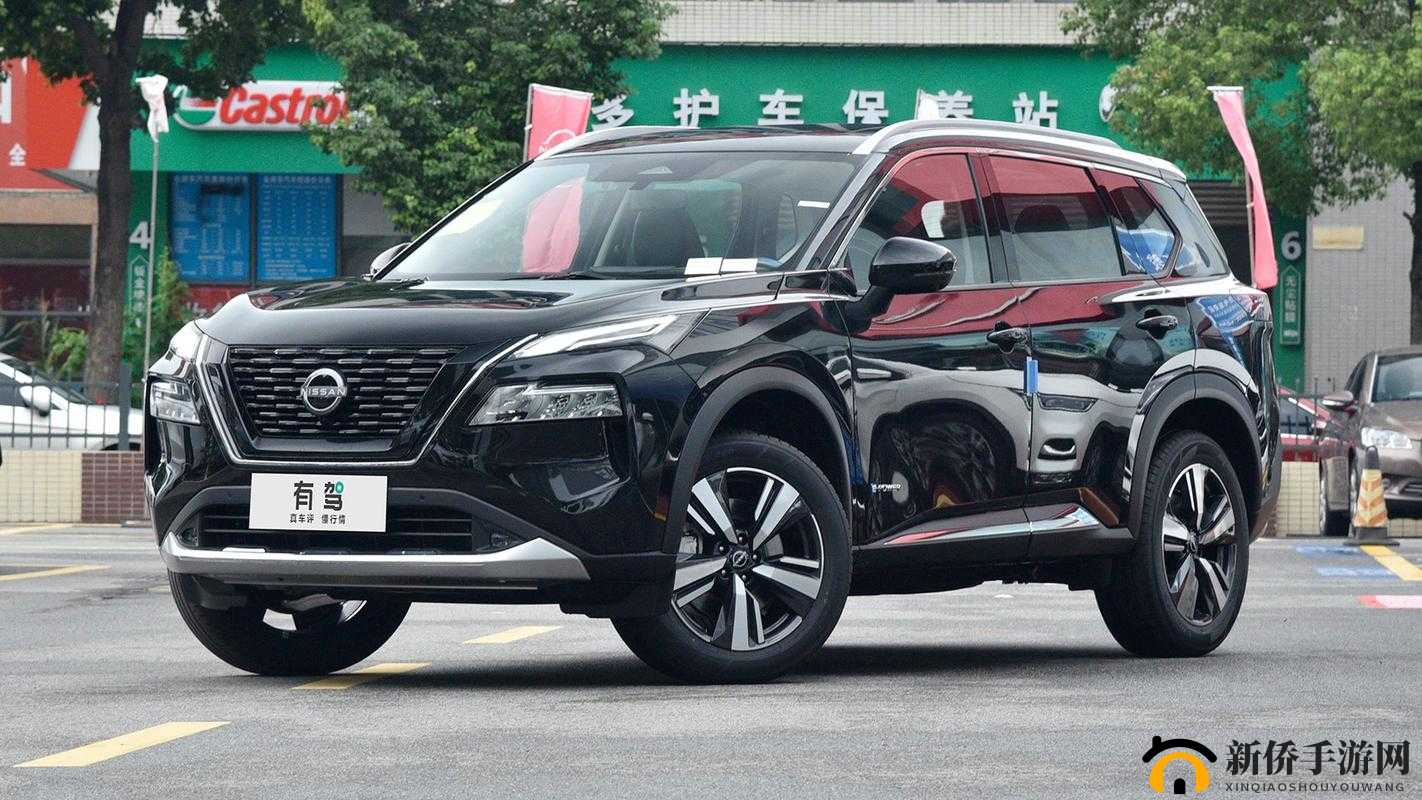 精品日产一匹二匹三匹四匹五匹视频无法观看：探寻背后原因及解决办法