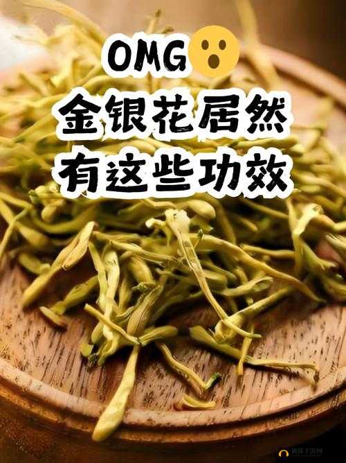 父承子液金银花之独特饮品魅力展现