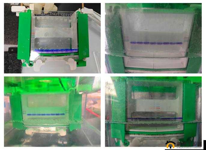 人马胶配方视频高清版详细制作教程及步骤分享