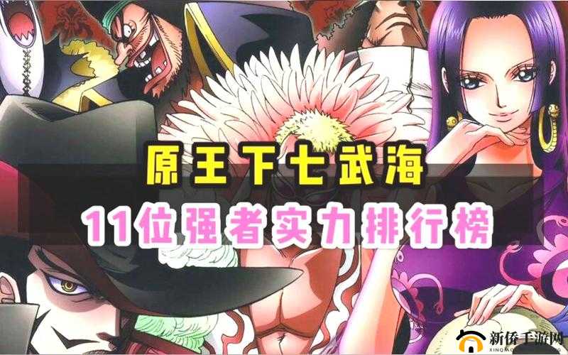 全明星大乱斗，深度剖析女帝与王下七武海战斗力，揭秘资源管理策略的艺术