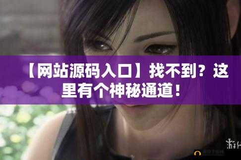 成品网站 2677 进入方式及相关说明