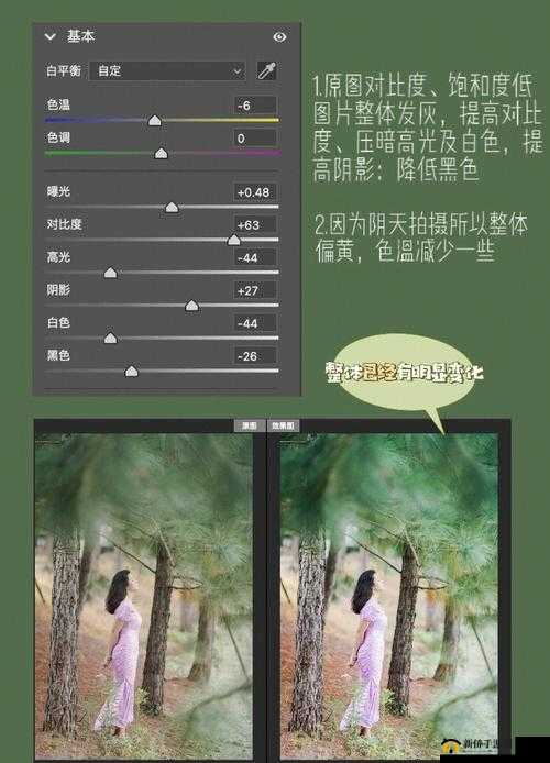 免费 PS 大片调色软件下载：让你的照片惊艳众人