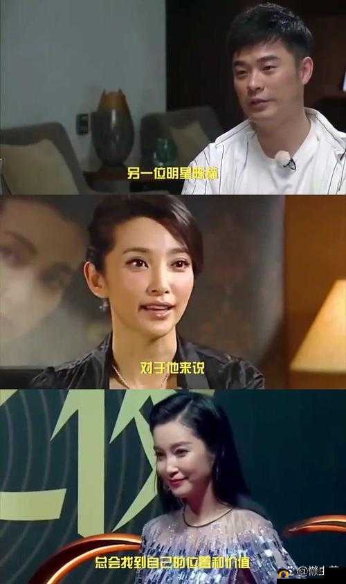 大佬们究竟是如何玩明星的：揭秘其背后的玩法
