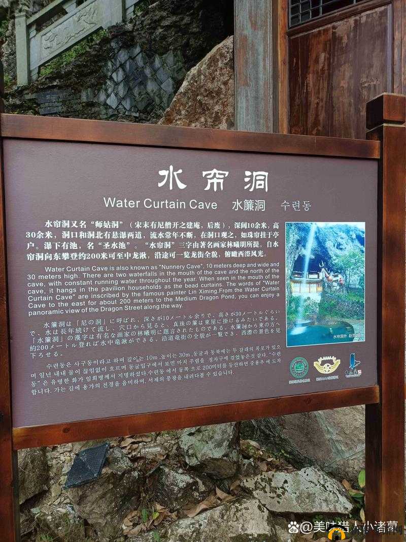 水帘洞的水都拉丝了怎么办：探寻解决之策与原因分析